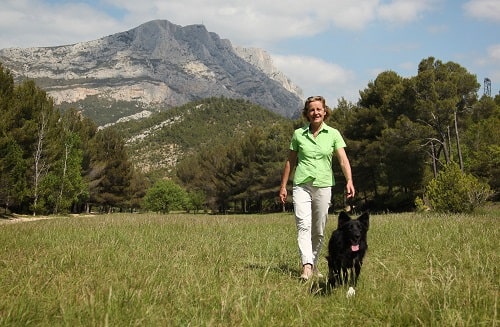 Pendant les vacances, Animal Futé permet à notre animal d'avoir un compagnon de jeu et à nous de partir sereins.